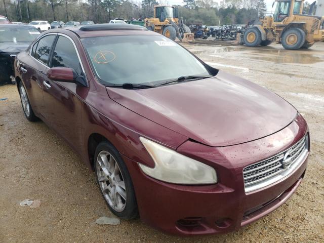 NISSAN MAXIMA S 2010 1n4aa5ap7ac817708