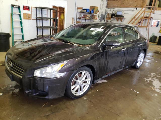 NISSAN MAXIMA 2010 1n4aa5ap7ac819216