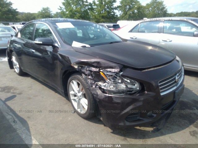 NISSAN MAXIMA 2010 1n4aa5ap7ac834802