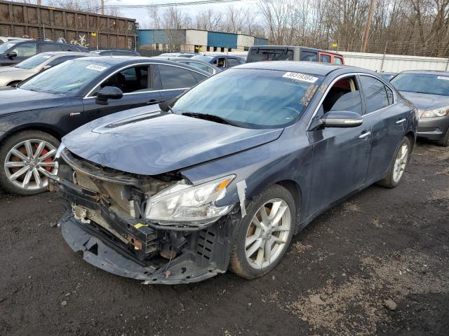 NISSAN MAXIMA 2010 1n4aa5ap7ac840020