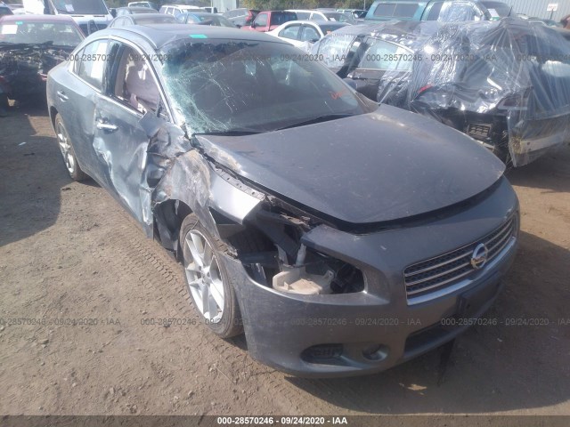 NISSAN MAXIMA 2010 1n4aa5ap7ac840793