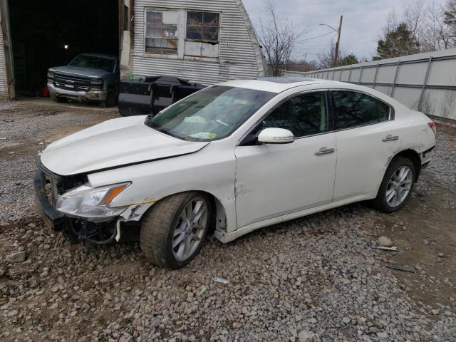 NISSAN MAXIMA S 2010 1n4aa5ap7ac841197