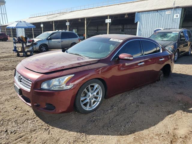 NISSAN MAXIMA 2010 1n4aa5ap7ac842088