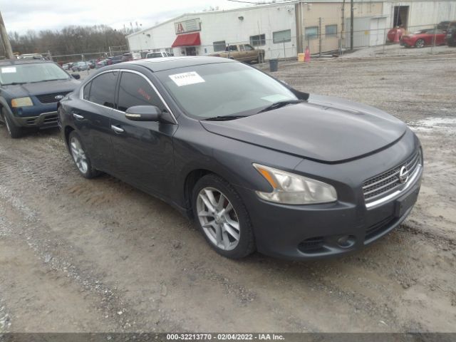 NISSAN MAXIMA 2010 1n4aa5ap7ac842205