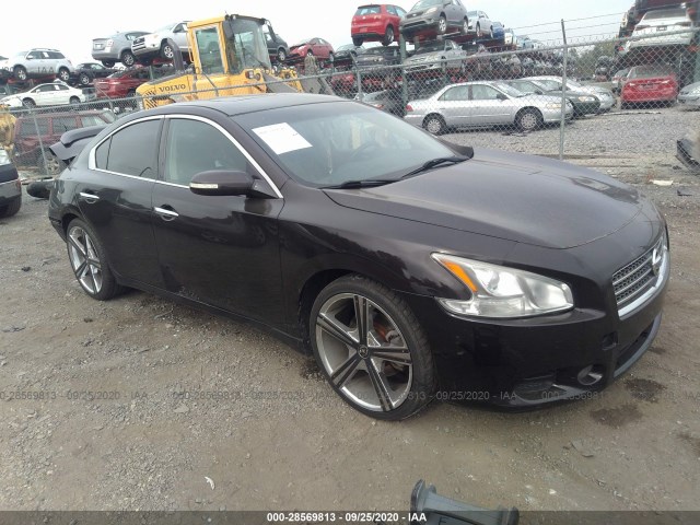 NISSAN MAXIMA 2010 1n4aa5ap7ac842916