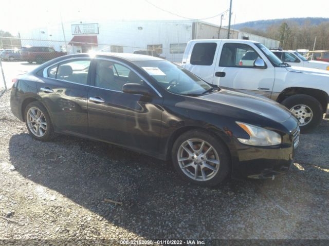 NISSAN MAXIMA 2010 1n4aa5ap7ac844164