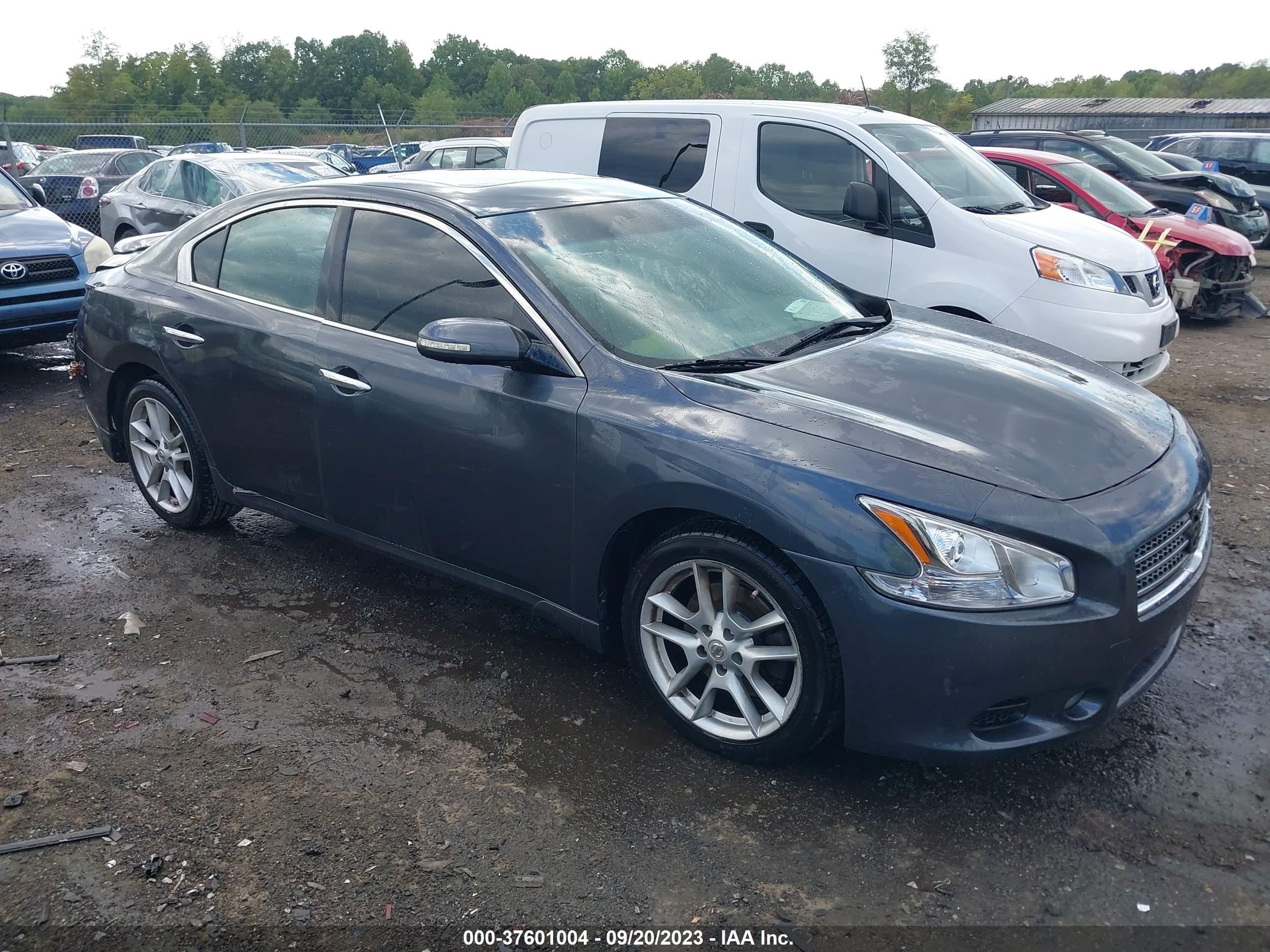 NISSAN MAXIMA 2010 1n4aa5ap7ac845556