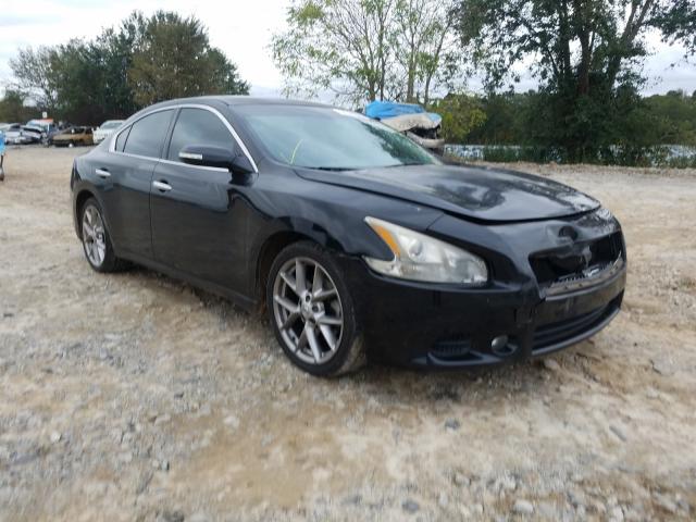 NISSAN MAXIMA 2010 1n4aa5ap7ac845783