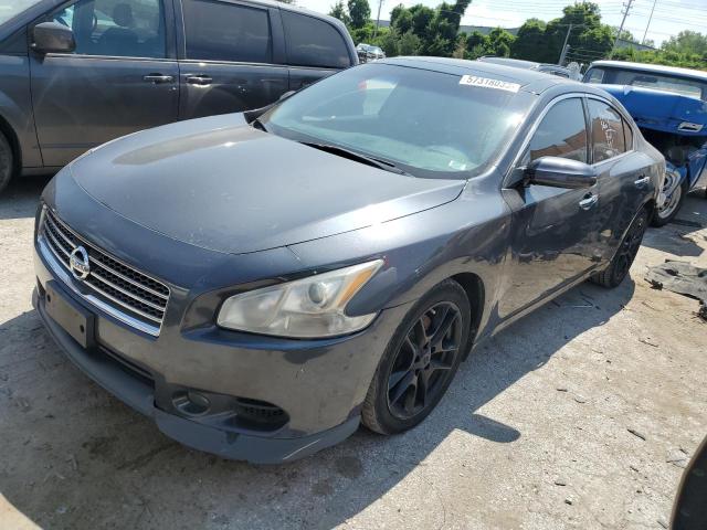 NISSAN MAXIMA S 2010 1n4aa5ap7ac847095