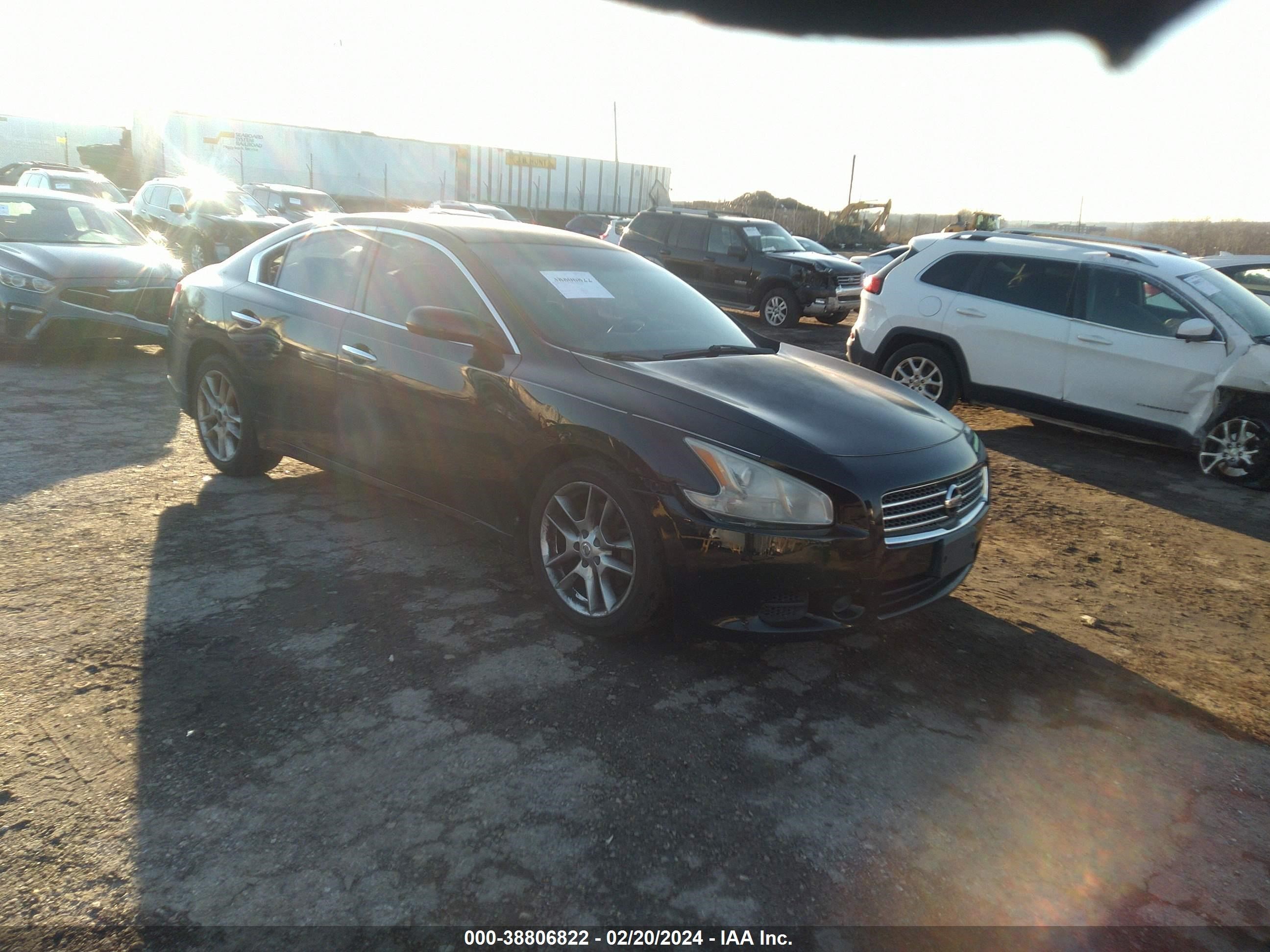 NISSAN MAXIMA 2010 1n4aa5ap7ac853236