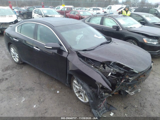 NISSAN MAXIMA 2010 1n4aa5ap7ac857450