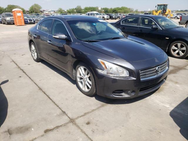 NISSAN MAXIMA S 2010 1n4aa5ap7ac862020