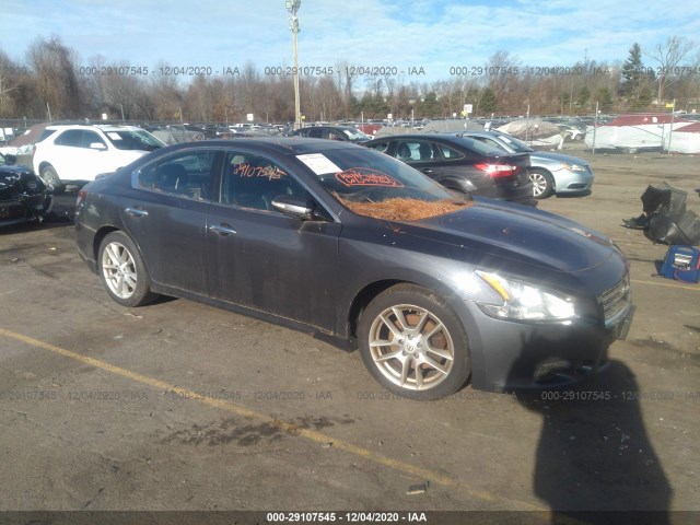 NISSAN MAXIMA 2010 1n4aa5ap7ac862230