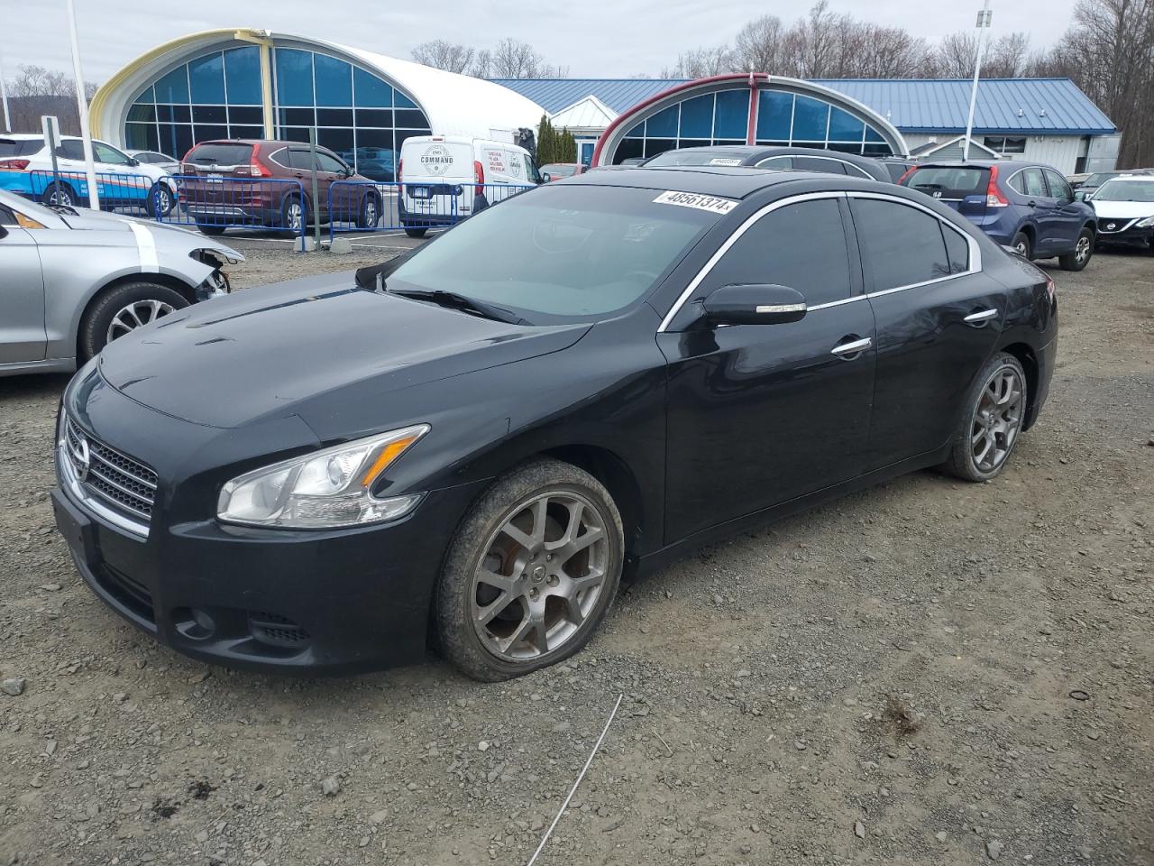 NISSAN MAXIMA 2010 1n4aa5ap7ac863636