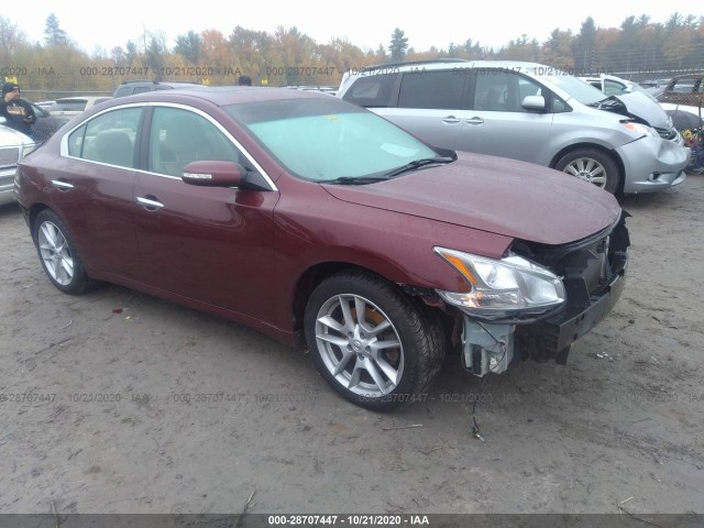 NISSAN MAXIMA 2010 1n4aa5ap7ac863832