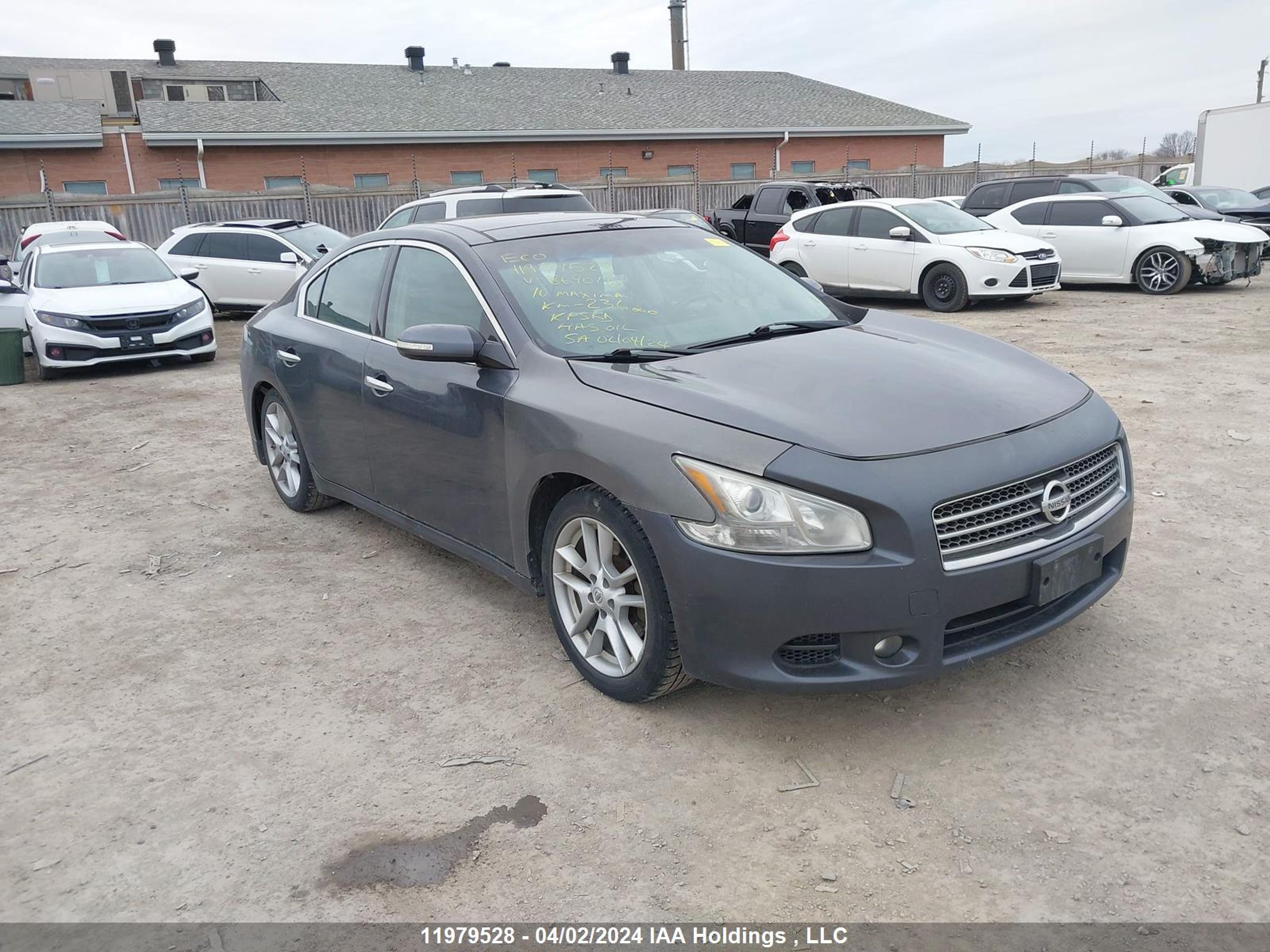 NISSAN MAXIMA 2010 1n4aa5ap7ac869016