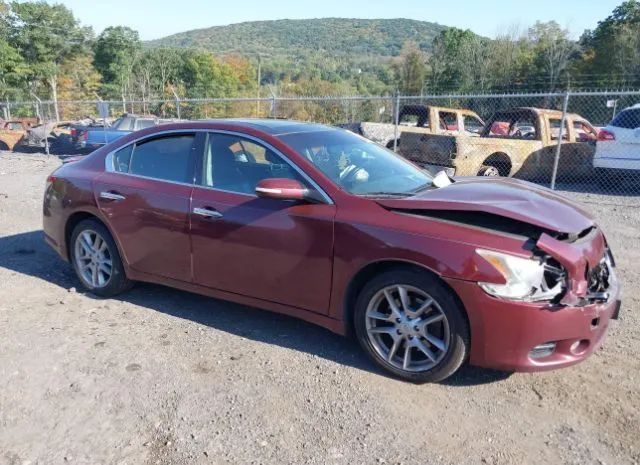 NISSAN MAXIMA 2010 1n4aa5ap7ac871185