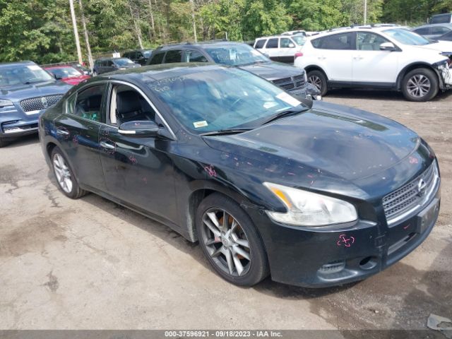 NISSAN MAXIMA 2010 1n4aa5ap7ac872658