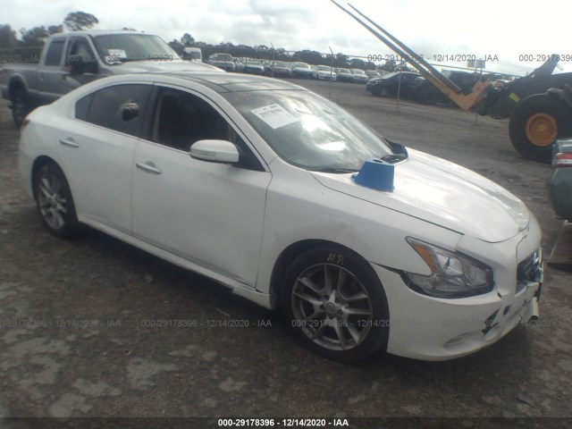 NISSAN MAXIMA 2011 1n4aa5ap7bc811859