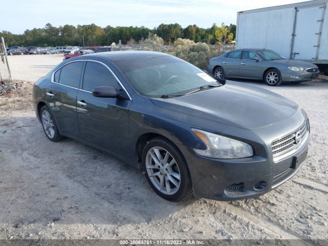 NISSAN MAXIMA 2011 1n4aa5ap7bc818083