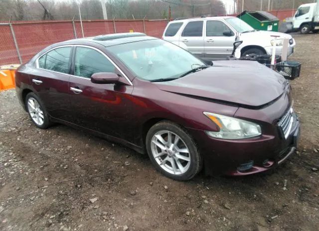 NISSAN MAXIMA 2011 1n4aa5ap7bc820495