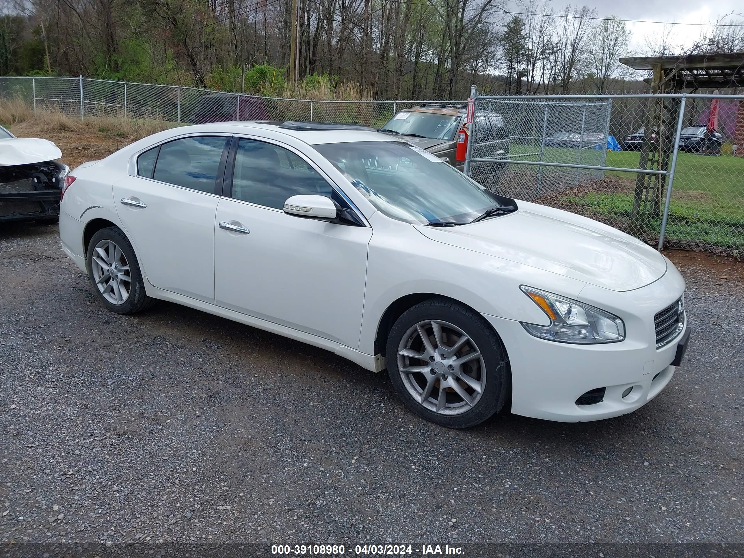 NISSAN MAXIMA 2011 1n4aa5ap7bc828001