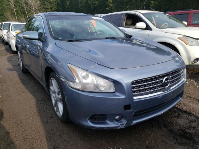 NISSAN MAXIMA 2011 1n4aa5ap7bc830525