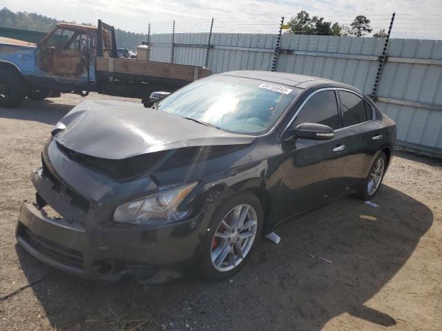 NISSAN MAXIMA S 2011 1n4aa5ap7bc831612