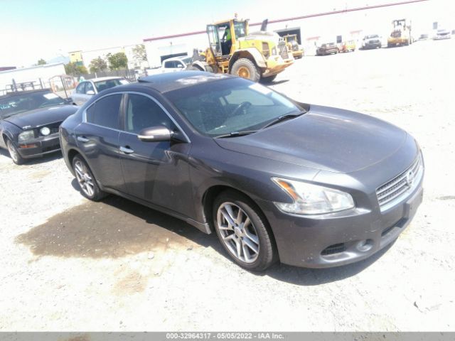 NISSAN MAXIMA 2011 1n4aa5ap7bc836096