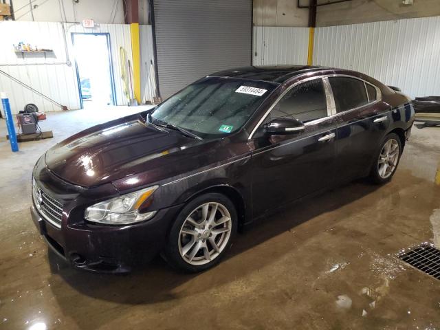 NISSAN MAXIMA 2011 1n4aa5ap7bc836499