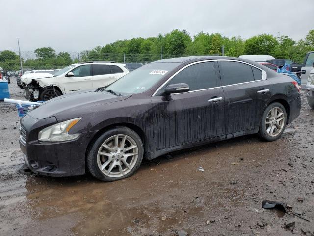 NISSAN MAXIMA 2011 1n4aa5ap7bc836910