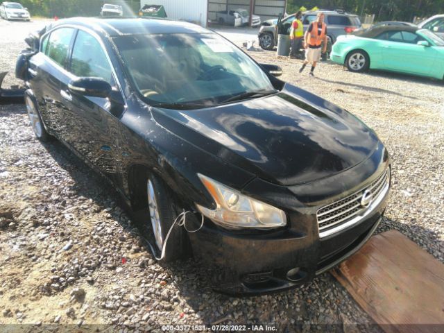 NISSAN MAXIMA 2011 1n4aa5ap7bc836924