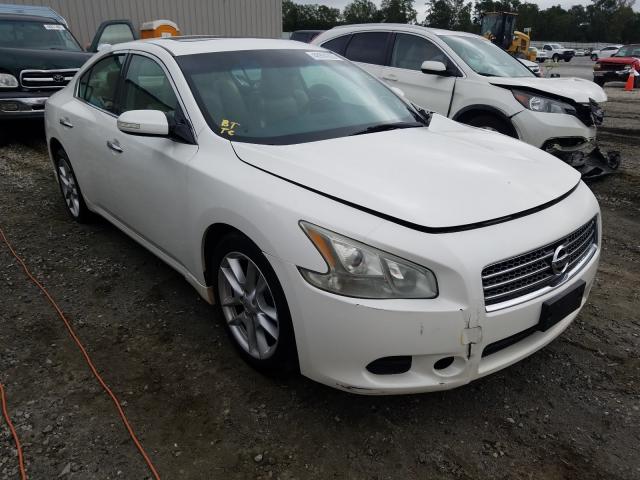 NISSAN MAXIMA 2011 1n4aa5ap7bc841282