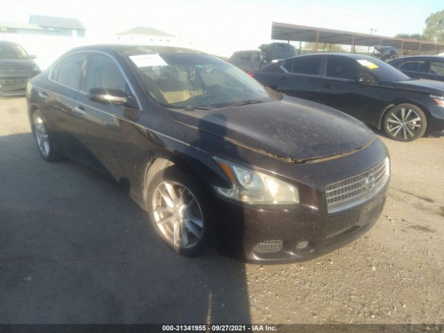 NISSAN MAXIMA 2011 1n4aa5ap7bc841461