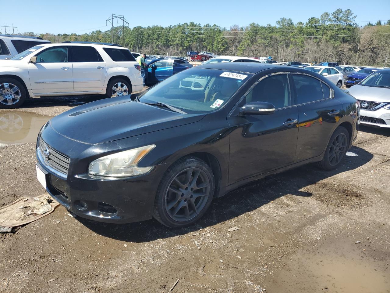 NISSAN MAXIMA 2011 1n4aa5ap7bc842514