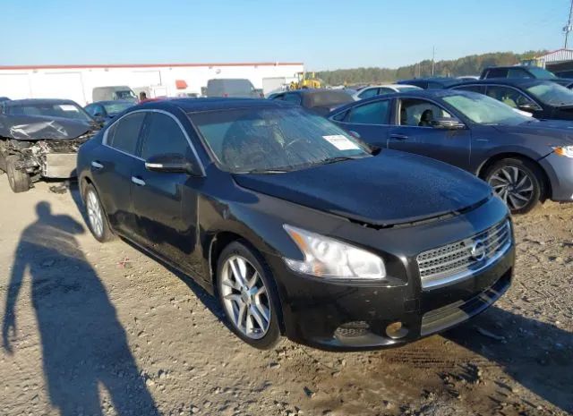 NISSAN MAXIMA 2011 1n4aa5ap7bc851732