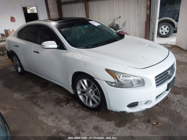 NISSAN MAXIMA 2011 1n4aa5ap7bc860317