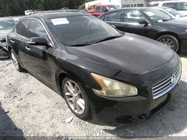 NISSAN MAXIMA 2011 1n4aa5ap7bc868935