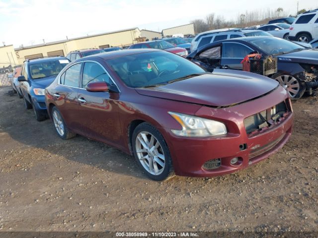 NISSAN MAXIMA 2013 1n4aa5ap7dc806034