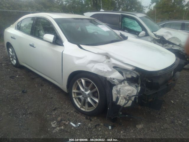 NISSAN MAXIMA 2013 1n4aa5ap7dc810729