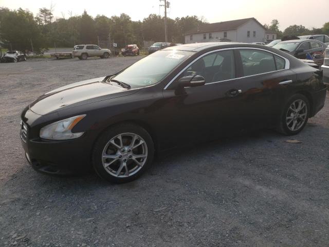 NISSAN MAXIMA S 2013 1n4aa5ap7dc814537