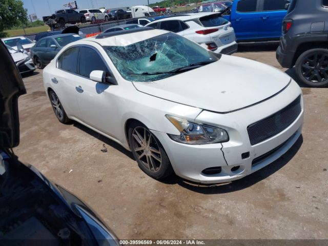 NISSAN MAXIMA 2013 1n4aa5ap7dc826185