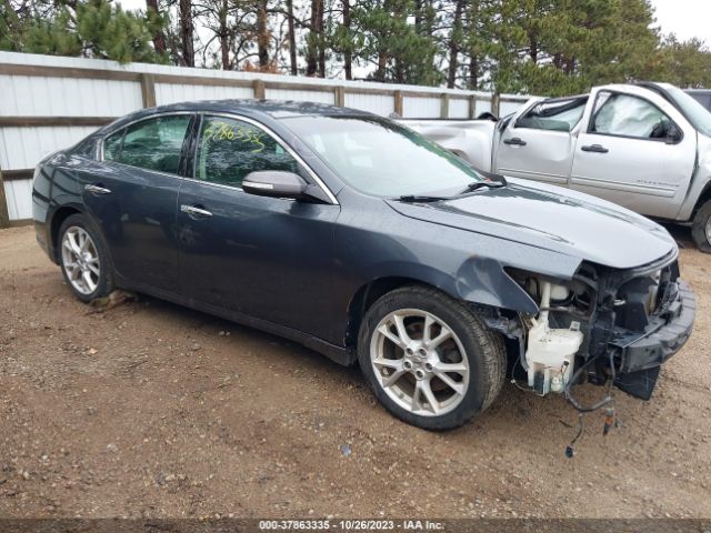 NISSAN MAXIMA 2013 1n4aa5ap7dc837784