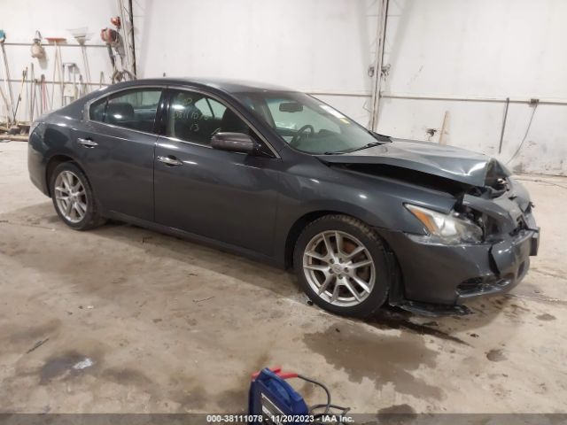 NISSAN MAXIMA 2013 1n4aa5ap7dc843147