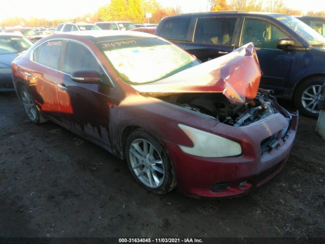 NISSAN MAXIMA 2010 1n4aa5ap8ac801582