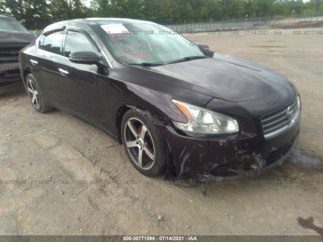 NISSAN MAXIMA 2010 1n4aa5ap8ac809357