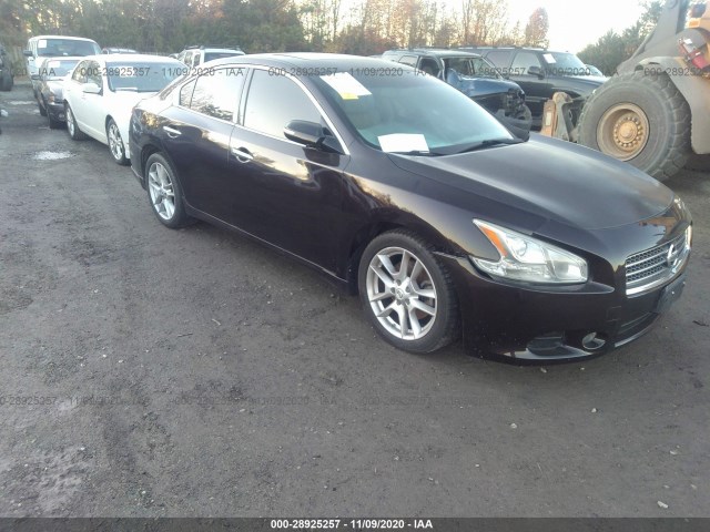 NISSAN MAXIMA 2010 1n4aa5ap8ac810315