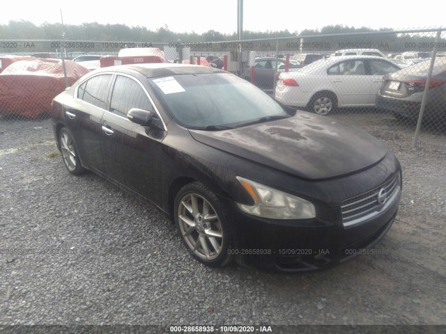 NISSAN MAXIMA 2010 1n4aa5ap8ac810654