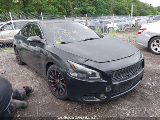 NISSAN MAXIMA 2010 1n4aa5ap8ac811142