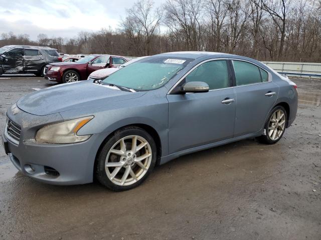 NISSAN MAXIMA 2010 1n4aa5ap8ac813599